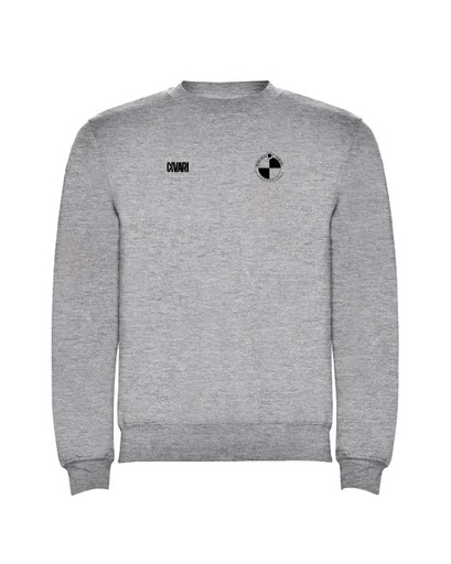 DESSUADORA FUTBOL SALA SABADELL FEMENÍ FSSF